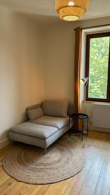 T2 Cocon Avec Balcon Et Parking Διαμέρισμα La Roche-sur-Foron Εξωτερικό φωτογραφία
